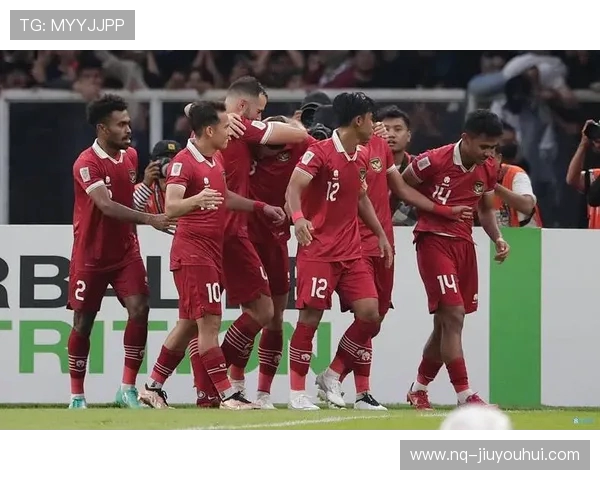 印尼足球队注册球员名单分析及其国际赛事表现研究